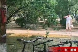 济南事件最新爆料,惊人内幕揭露真相