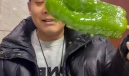 吃瓜网红赵一菲视频大全,揭秘网红圈幕后故事